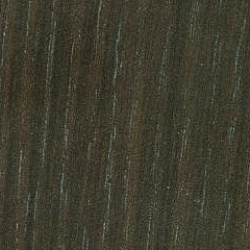 1355 N Дуб седой