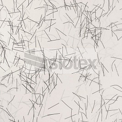 7001_S_ Вайсхорн