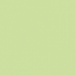 2730 Салатный